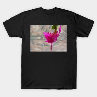 Studies in Glass Brick #3--Christmas Cactus T-Shirt